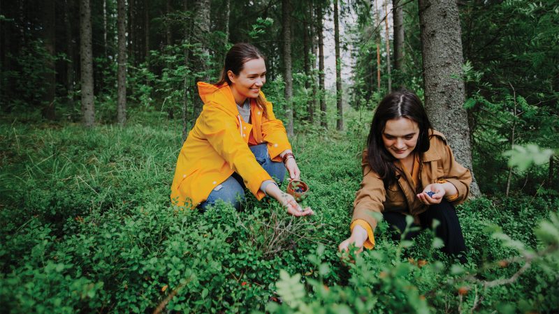 natur finland