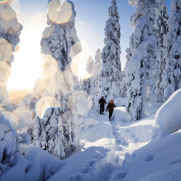 Finnland: Koli-Berg im Winter