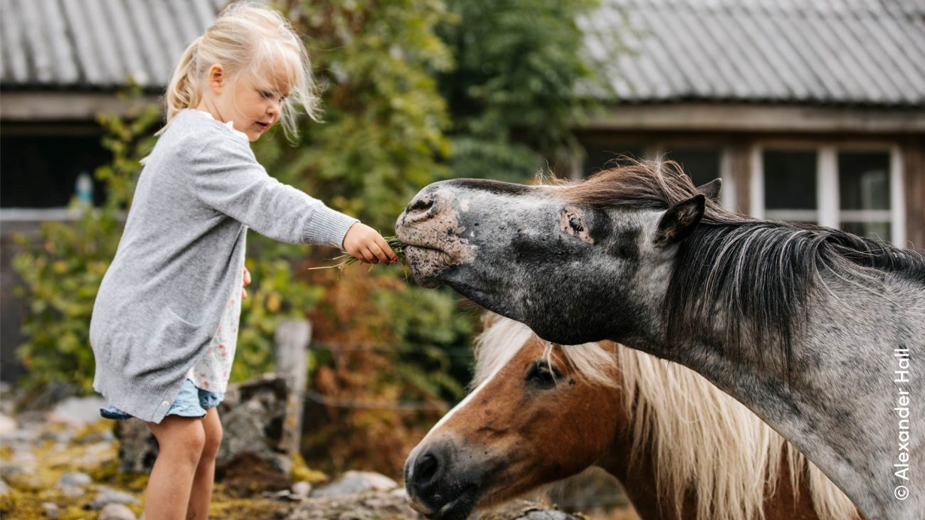 Camping Südschweden 