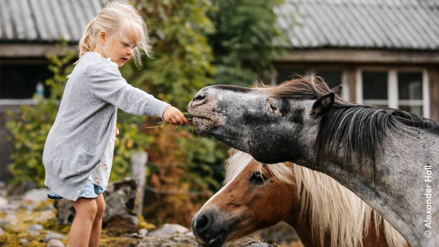 Camping Südschweden