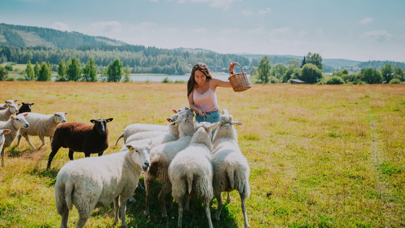 Frau steht in lachend in einer Schafherde auf dem Land.