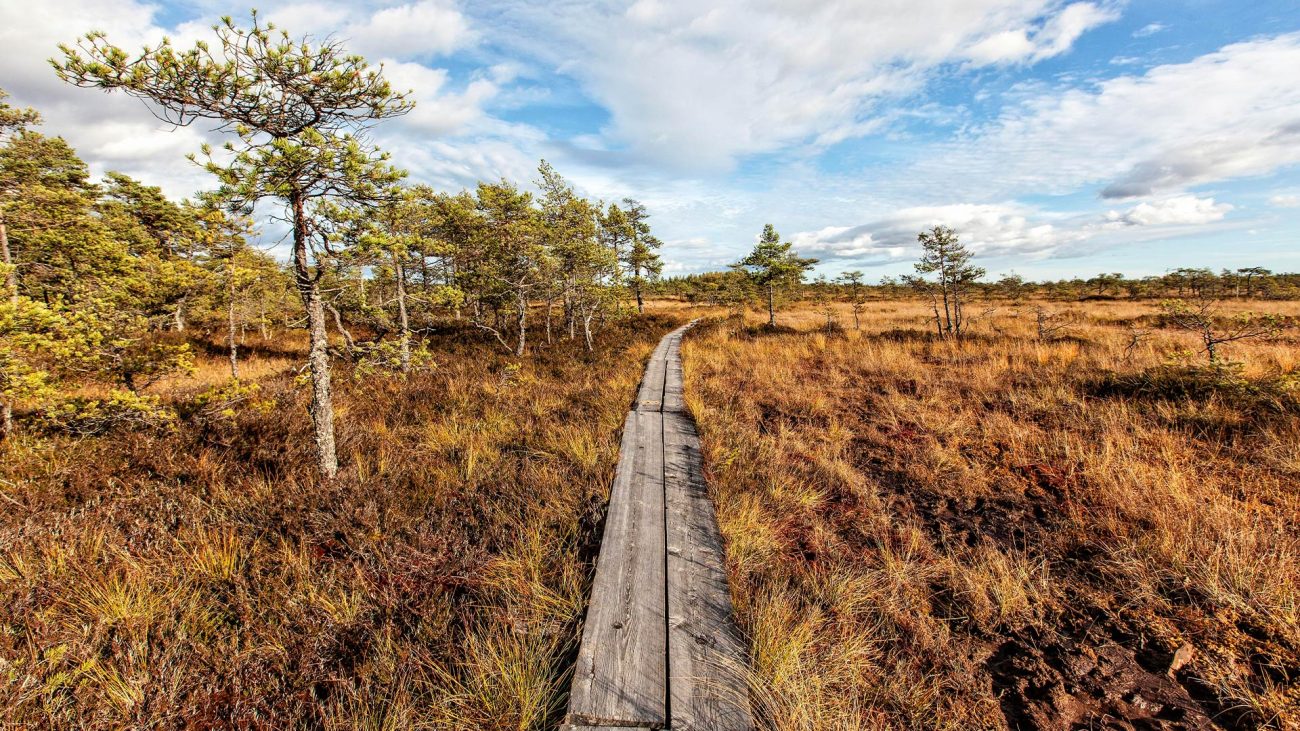 Valkmusa Nationalpark Kotka