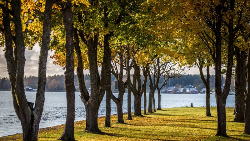 Aland Herbst