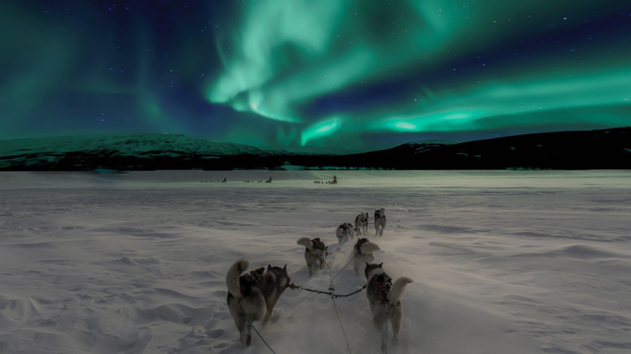 Huskies laufen über winterliche Landschaft mit Polarlichtern am Himmel