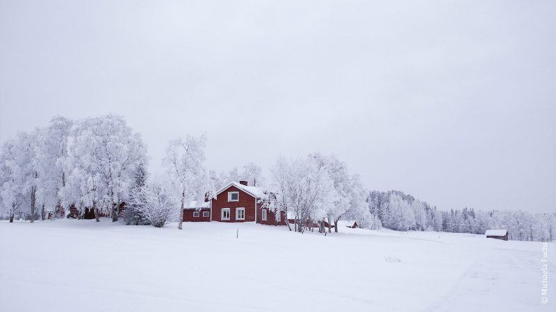 Winterreise Lappland Ferienhaus
