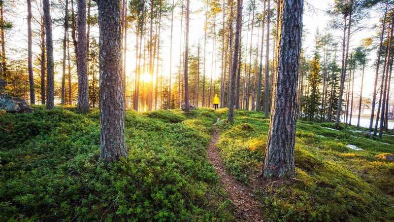 Glück finden in der finnischen Natur
