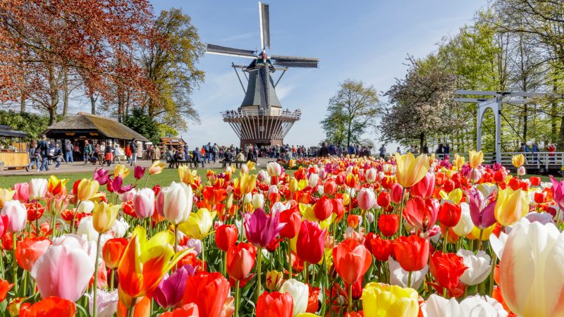 amsterdam keukenhof