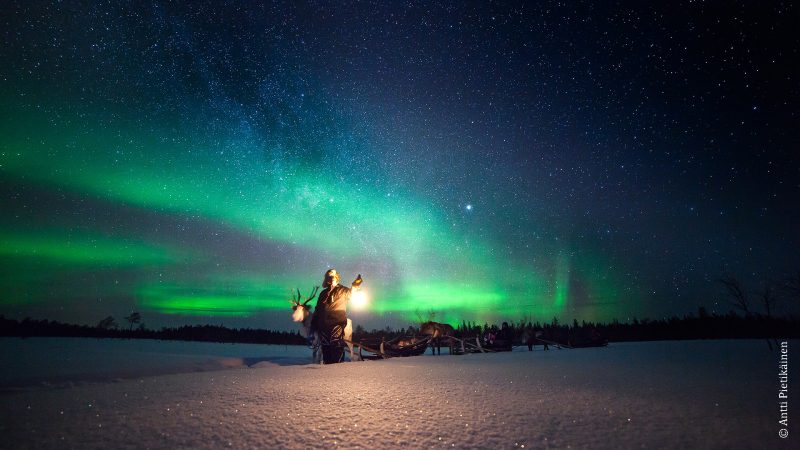 Mit Rentierschlitten zu den Polarlichtern