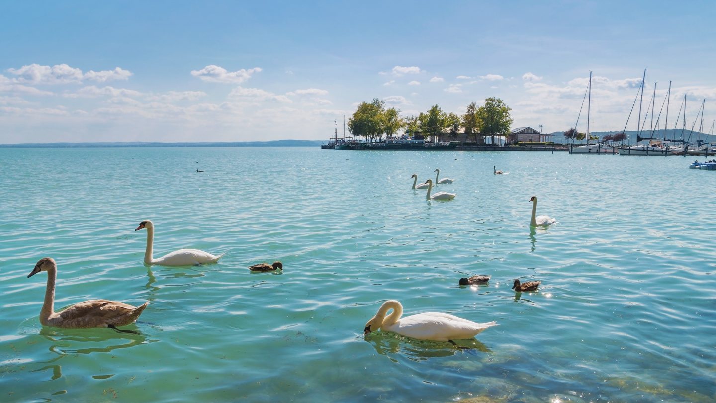 Balatonsjön