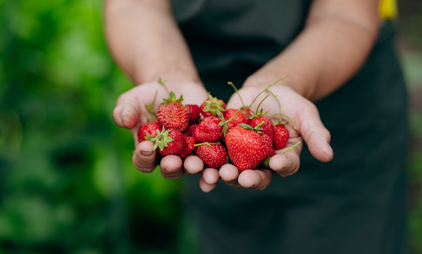 strawberries