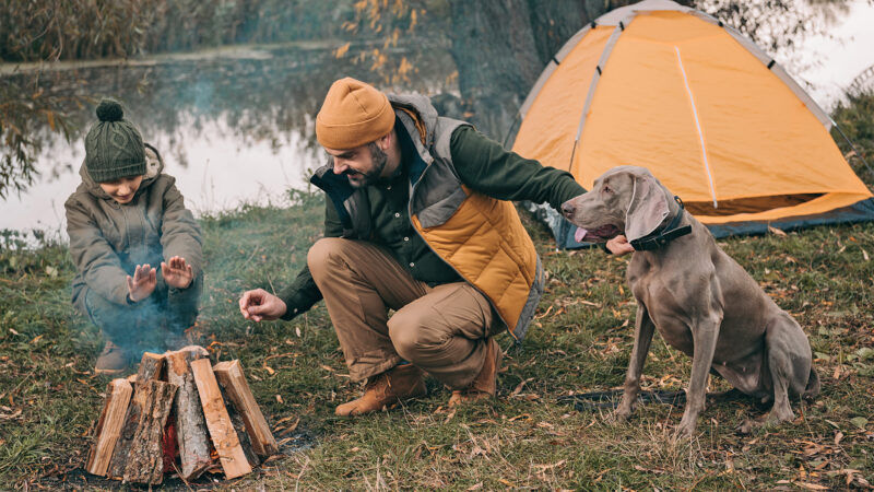 Familie mit Zelt in der Natur