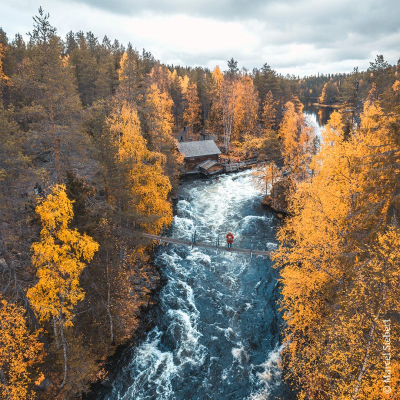 Kleine Bärenrunde in Finnland