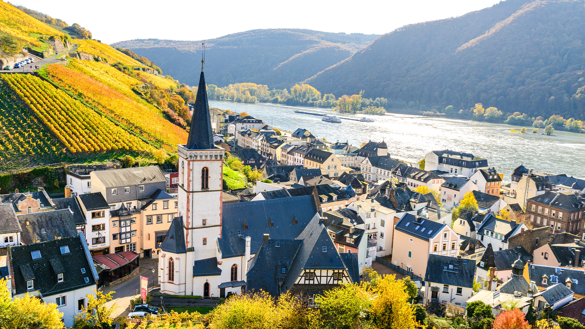 Rehn dalen Rüdesheim