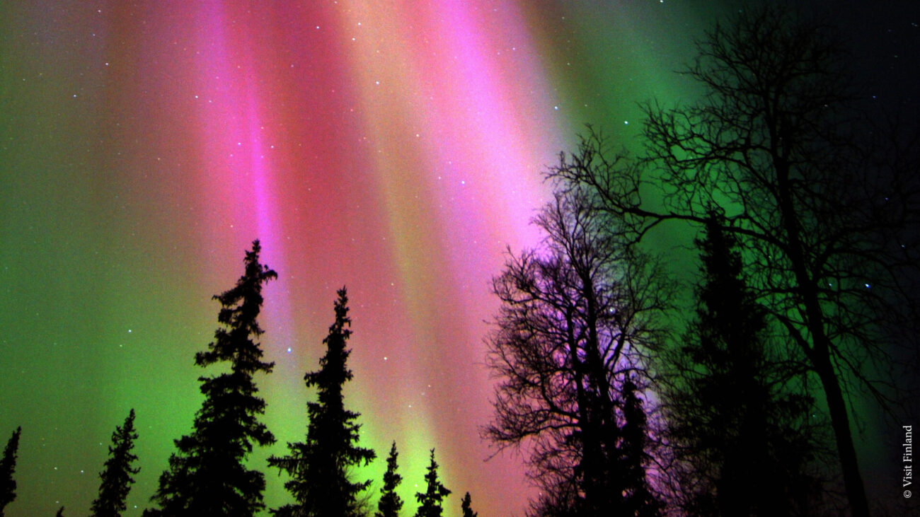 Polarlicht in rosa und grün über Finnisch-Lappland