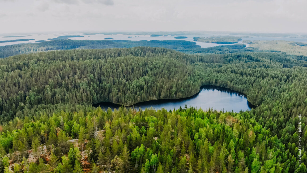 Seen und Wälder in Jyväskylä