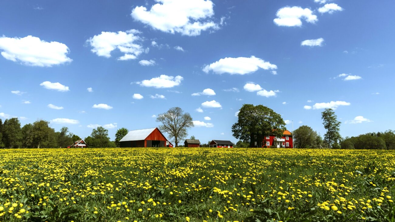 Landschaft mit roten Häusern in Småland