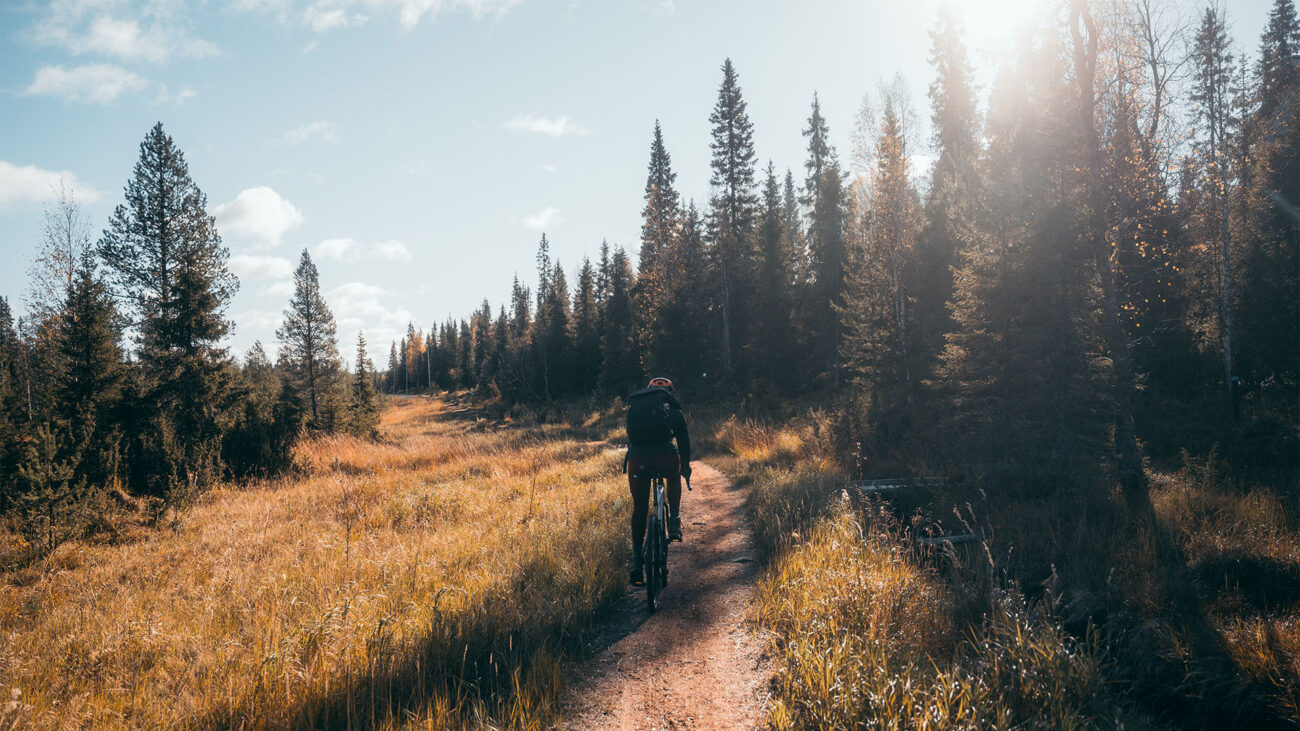 Ein Frau fährt mit dem Rad durch herbstliche Wälder in Finnland.