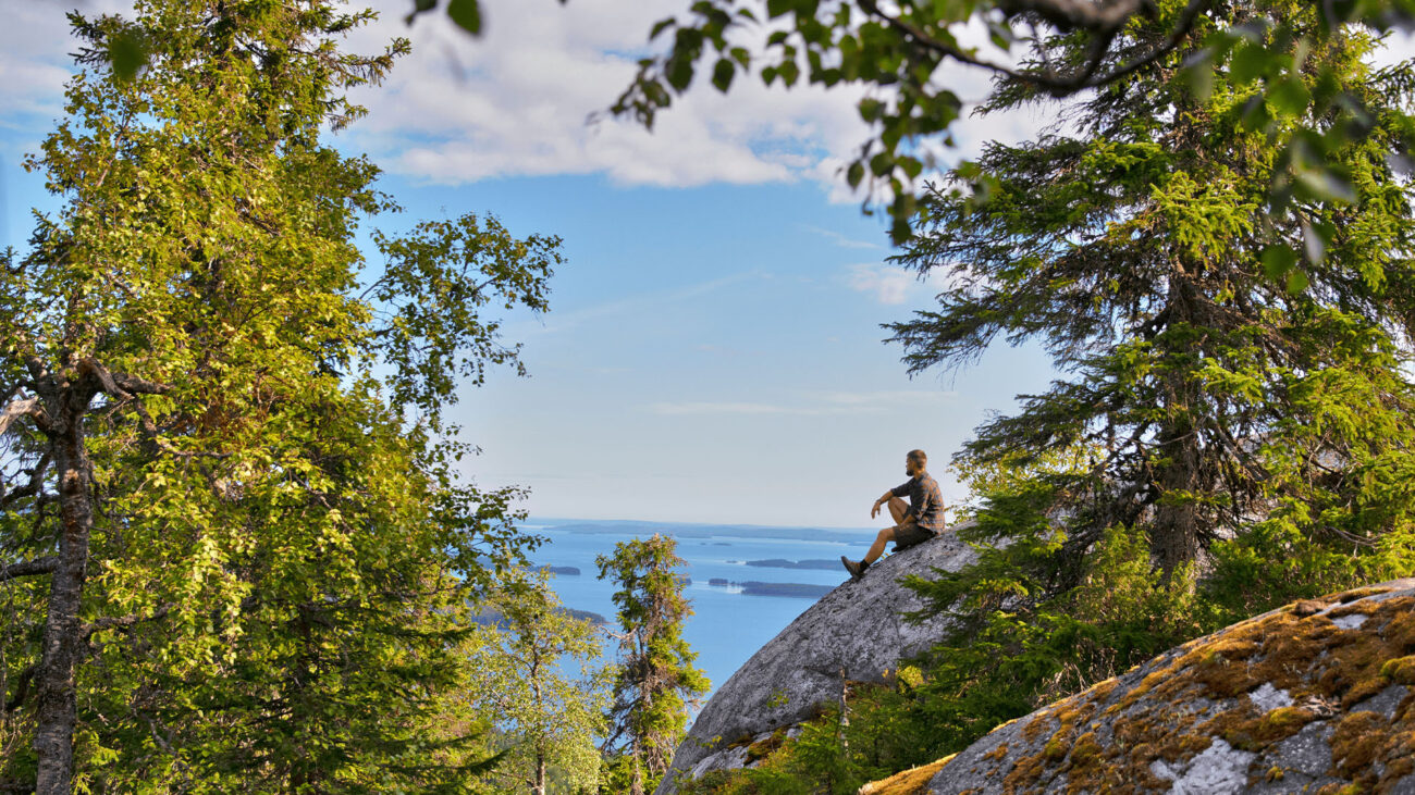 Mann blickt auf Seenlandschaft im Koli-Nationalpark
