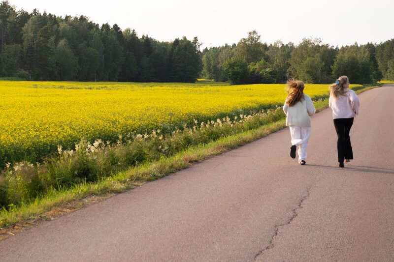 Suomessa ulkomailla