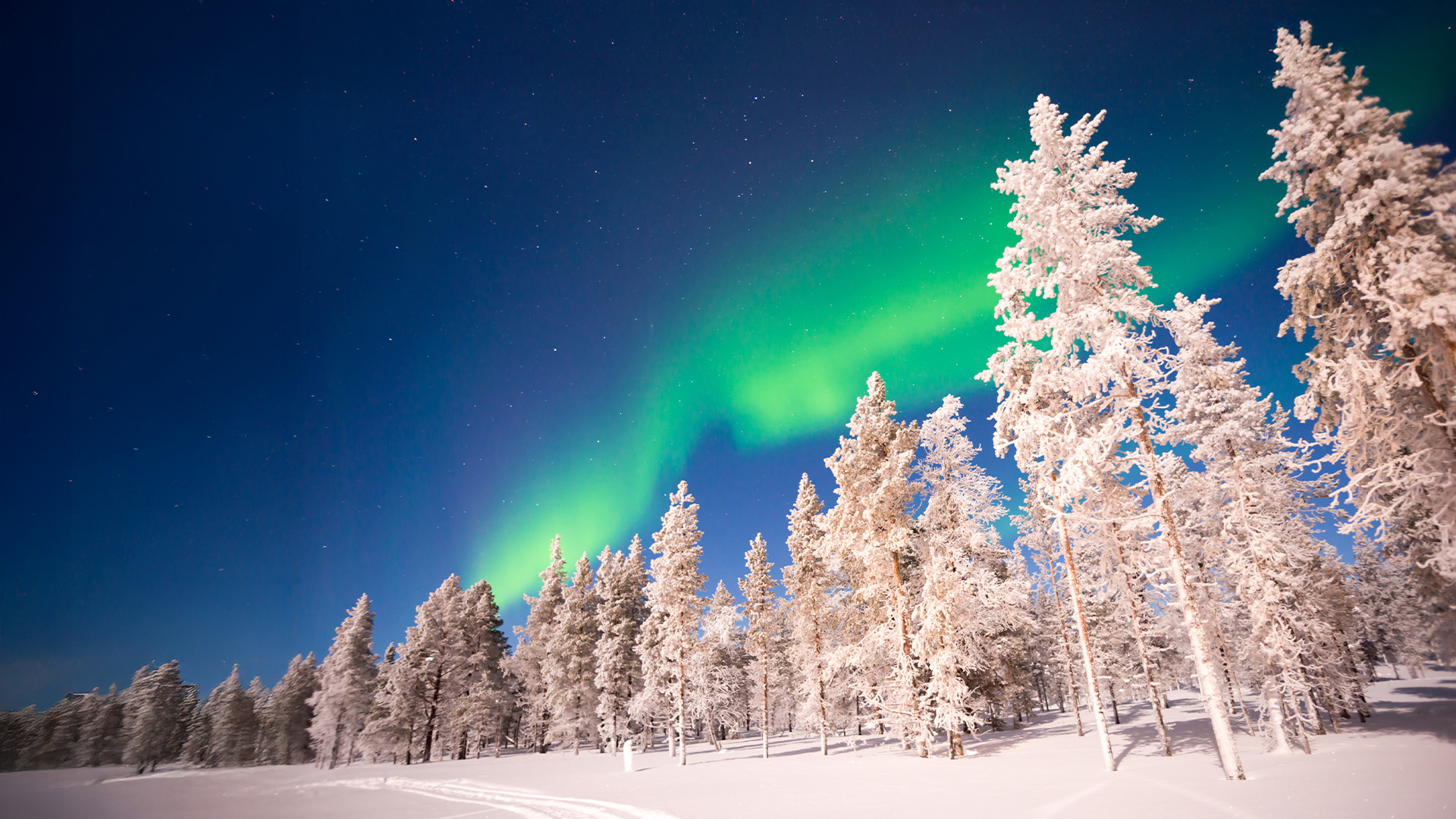 Polarlichter über finnischer Winterlandschaft