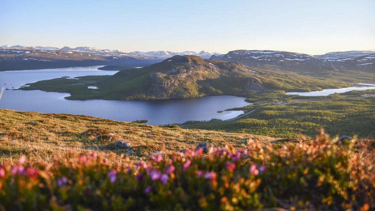 Mallu-Naturreservat in finnisch Lappland