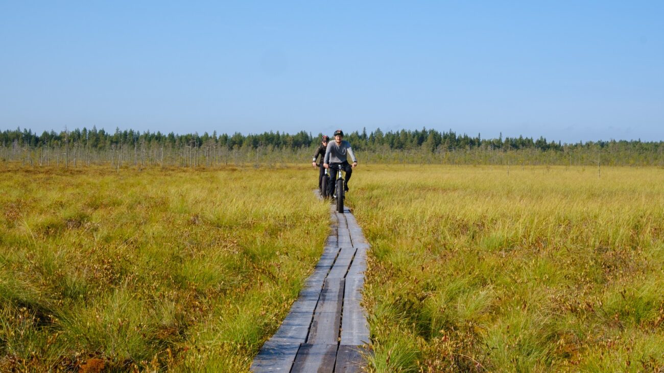 2 Männer auf Fatbikes