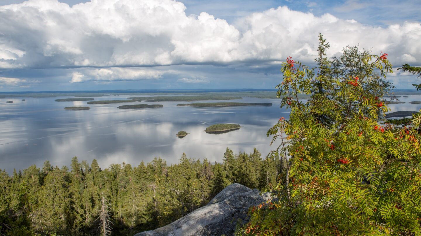 Aussicht im Koli-Nationalpark
