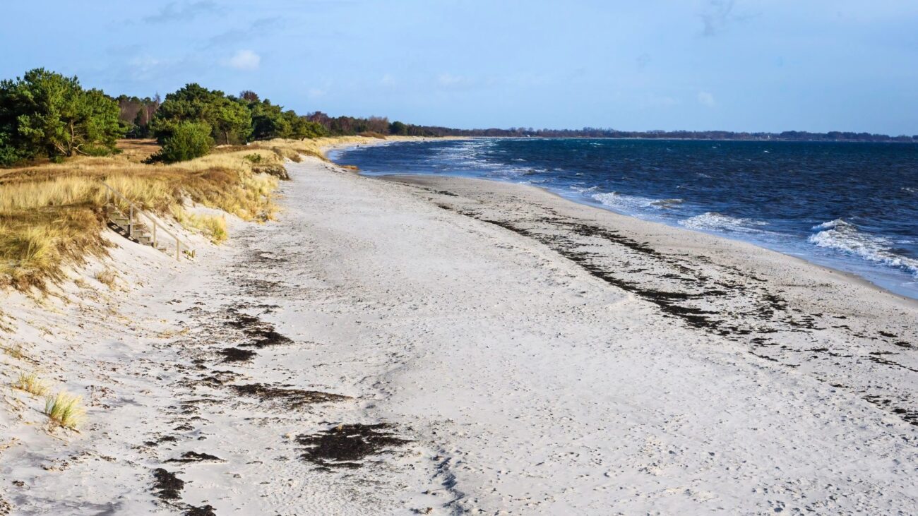 Sandstrand, Dünen und Meer am schwedischen Beddingestrand.