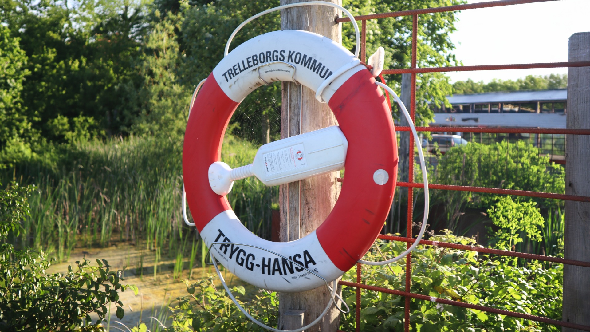 Rettungsring